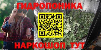 твердый Новокубанск
