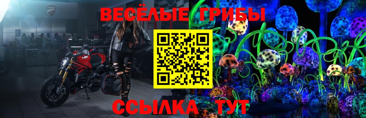 Псилоцибиновые грибы мухоморы Урус-Мартан